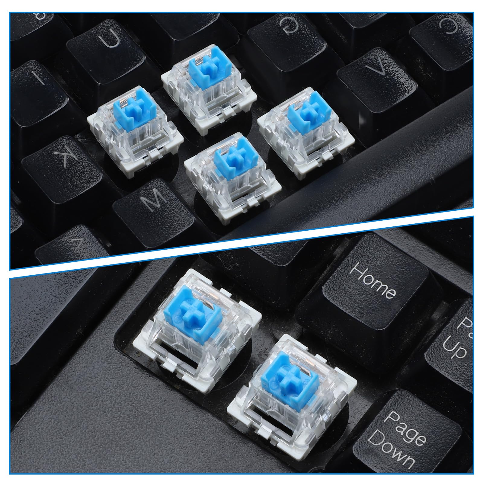 Blue switches with transparent housing suitable for backlit keyboards