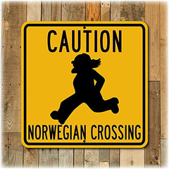 TravelSigns aluminum street sign blank 12x12 size