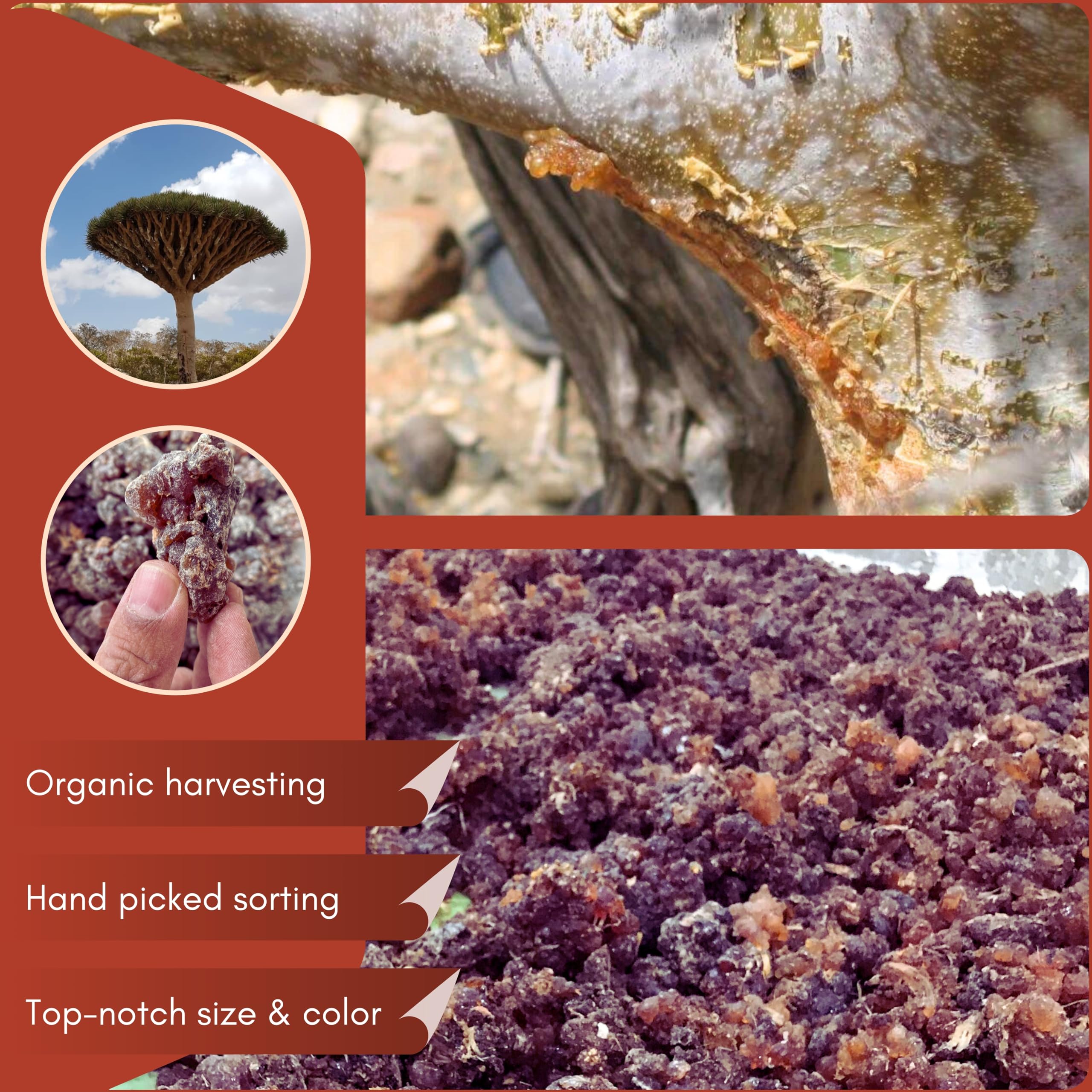 Resin incense with traditional fragrance note