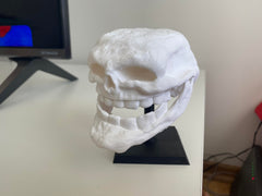 Troll Face meme gift for geeks display