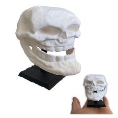 Troll Face Skull with Stand product on desk