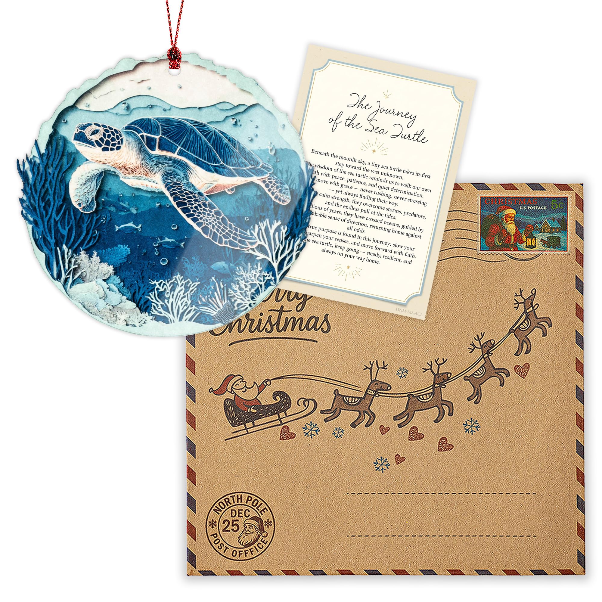 Turtle33 544 model ornament packaging