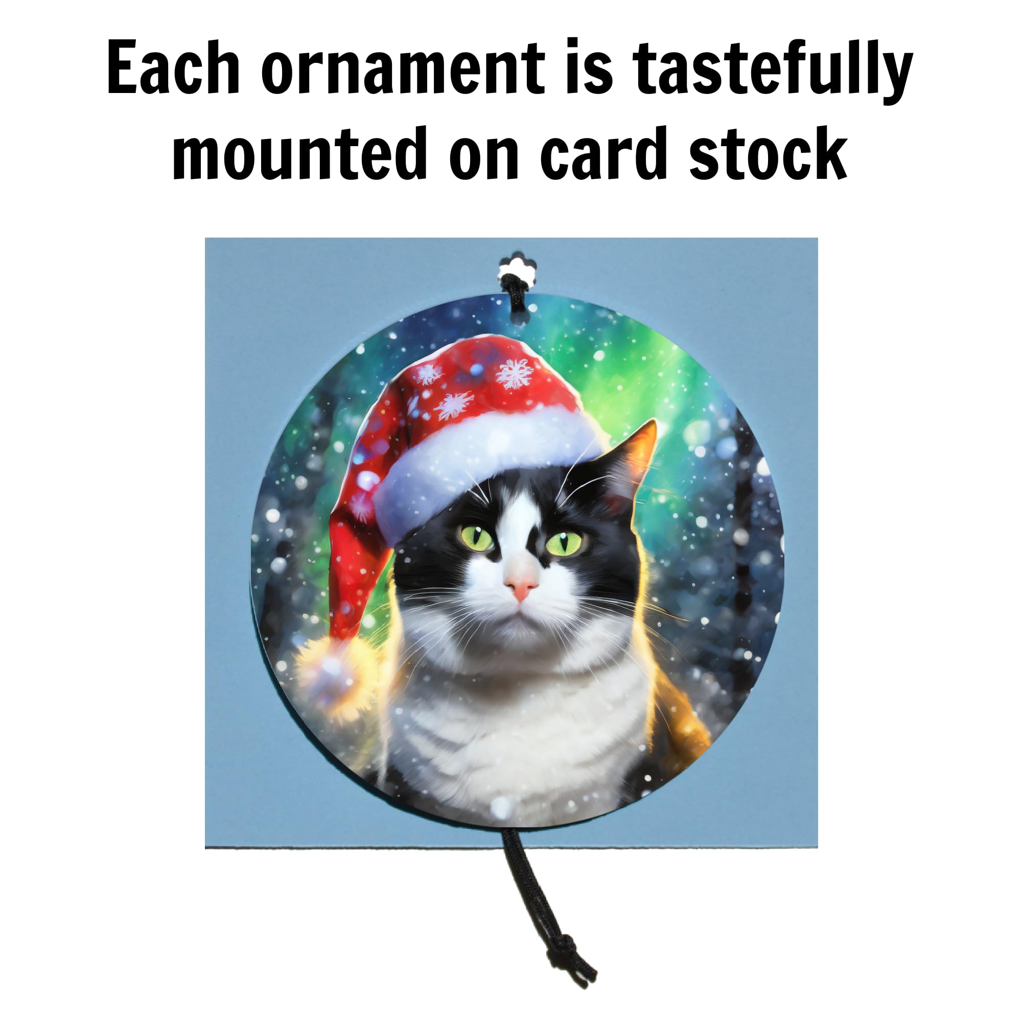 Ornament mounted on card stock square with protective bag