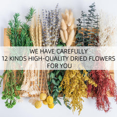 Bunny Tails and Billy Ball in the mixed dried flower set