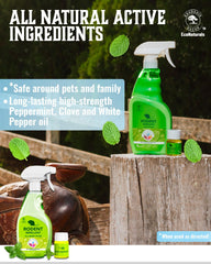 2 bottle value pack peppermint spray includes 16oz and 1oz concentrate