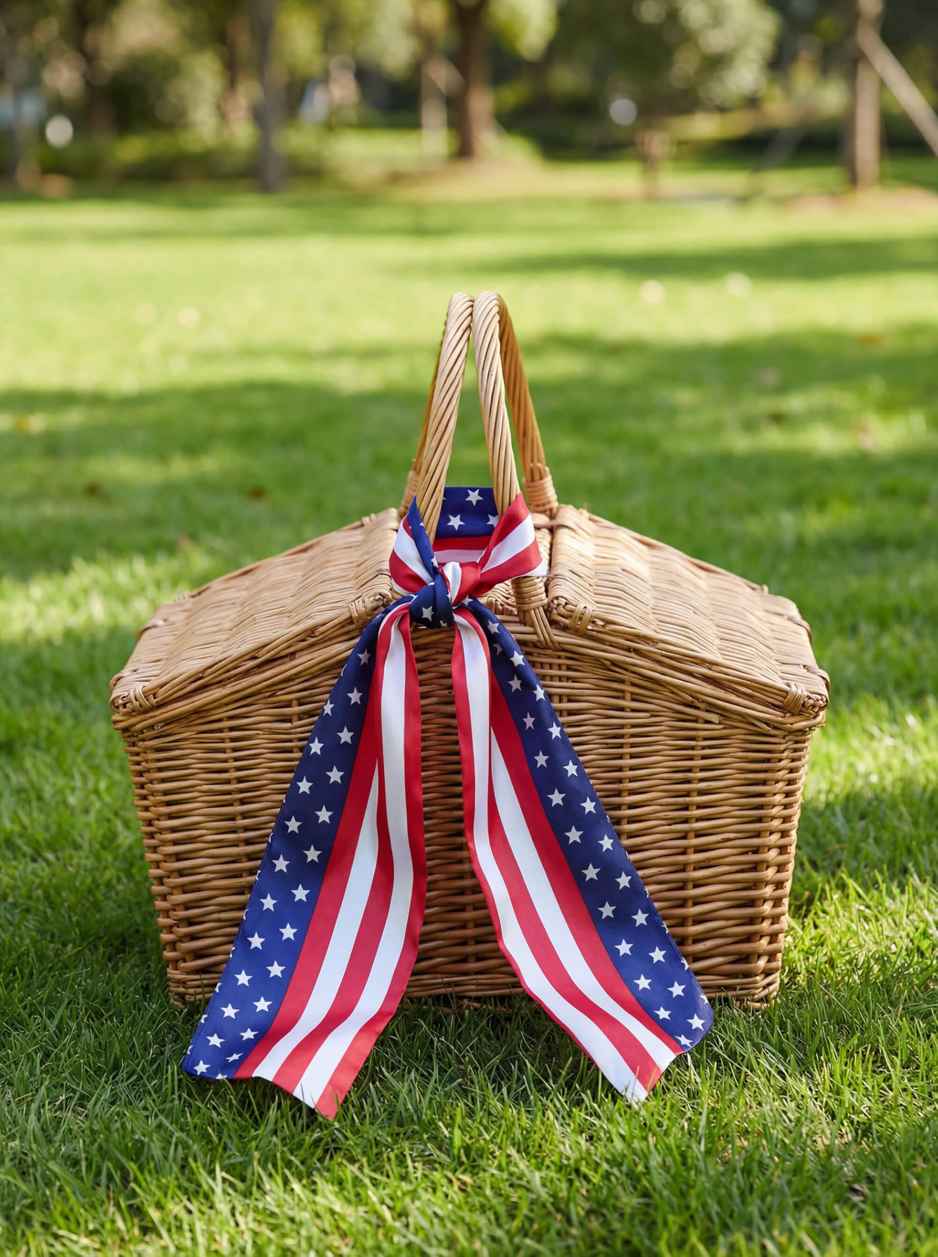 Patriotic sash for double entry doors