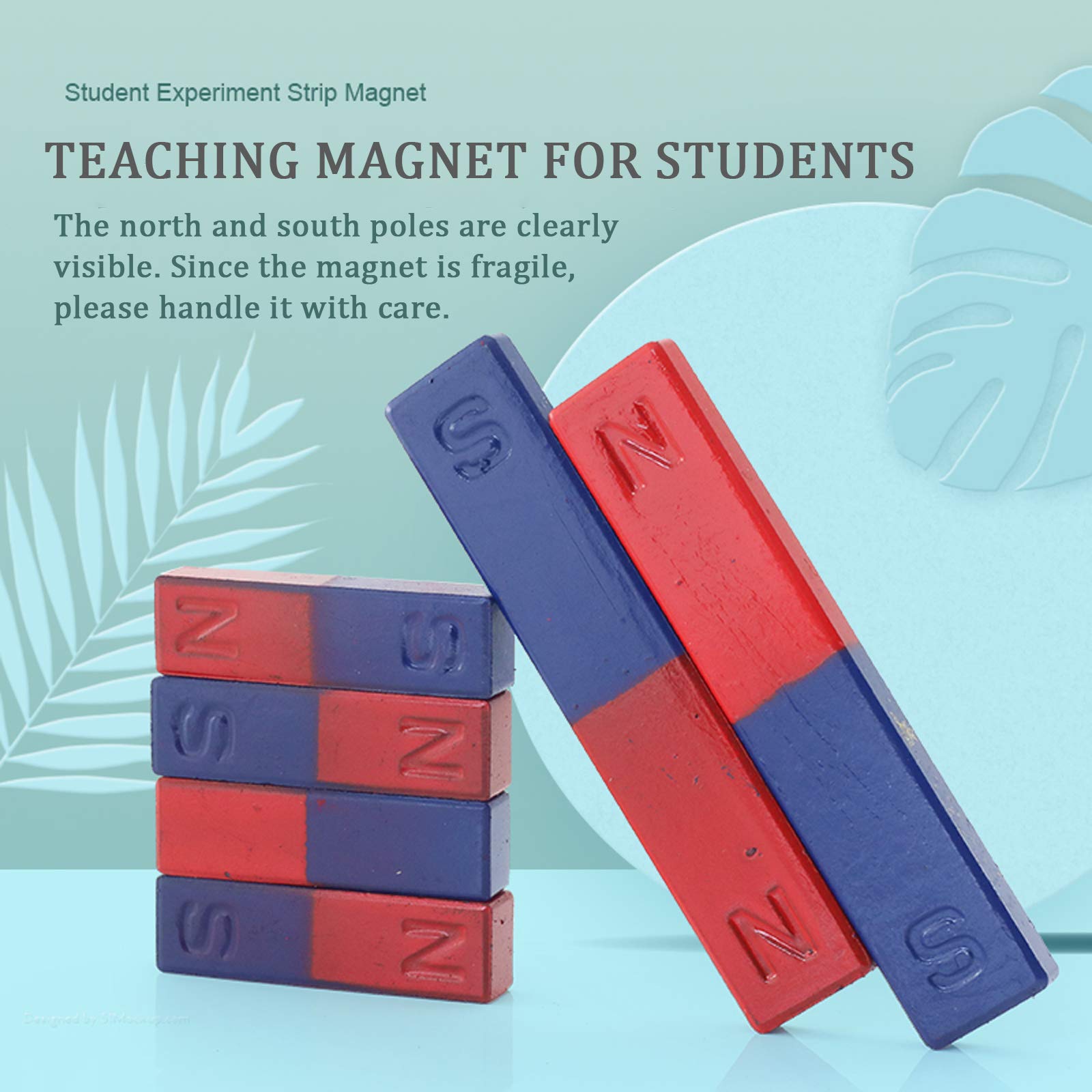 2 piece science magnet set for classroom experiments