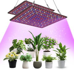 Uallhome LED Grow Light Panel 200W for indoor plants