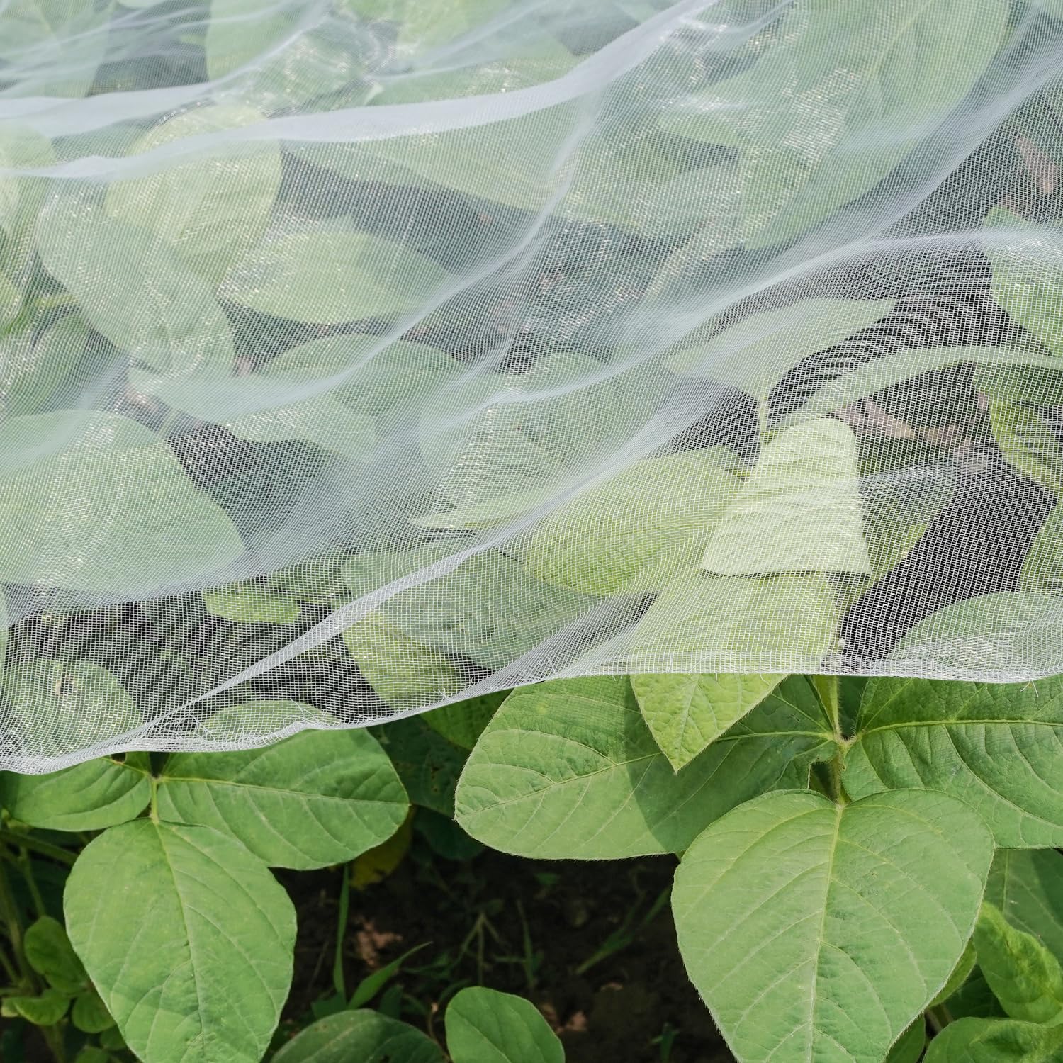 Ultra Fine Garden Netting 4x10 protecting garden beds