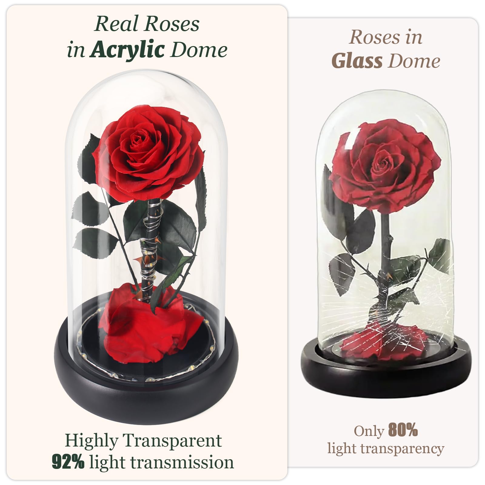 Unbreakable acrylic dome protects preserved rose