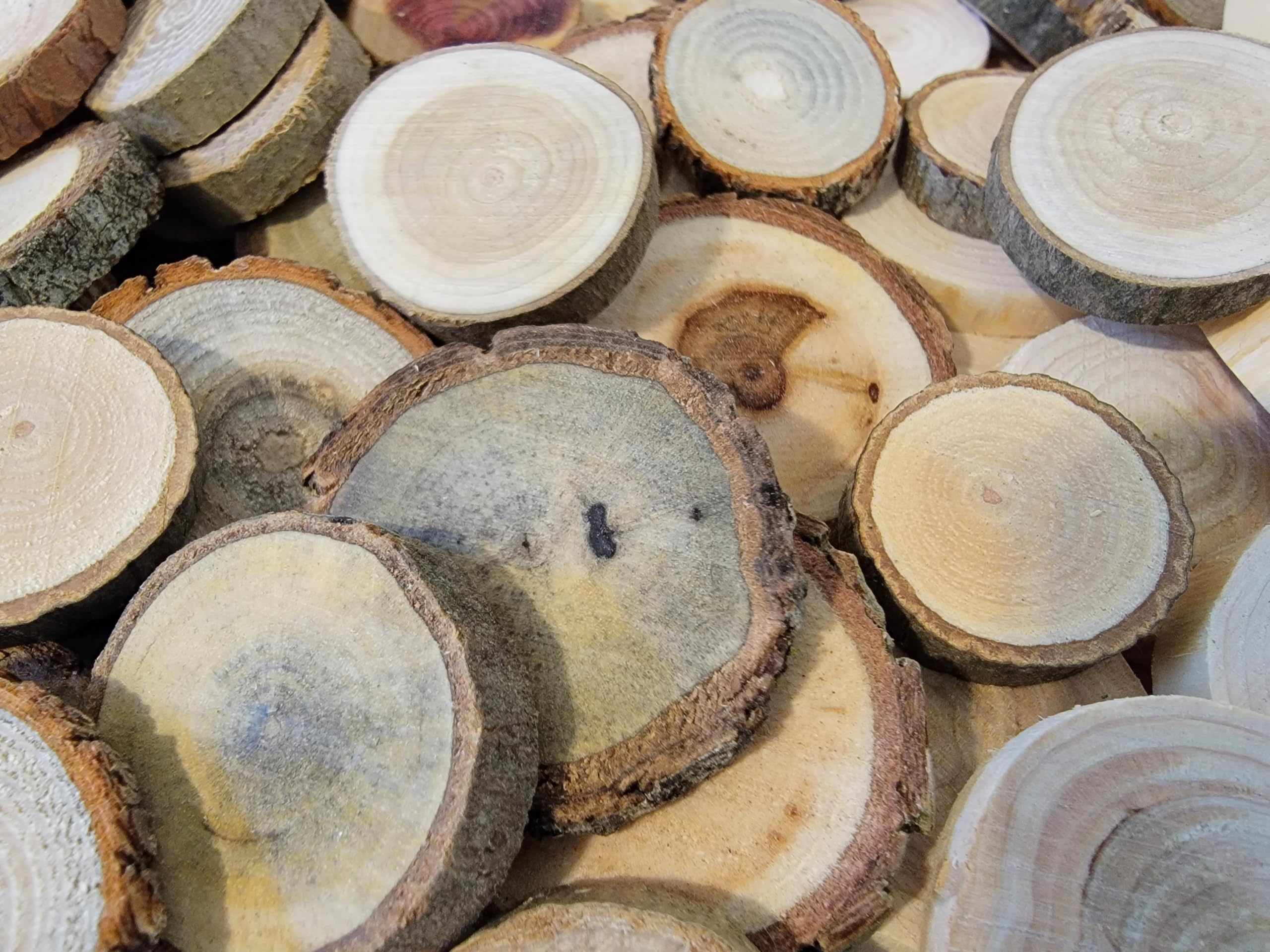 Unfinished wood slice variety pack closeup