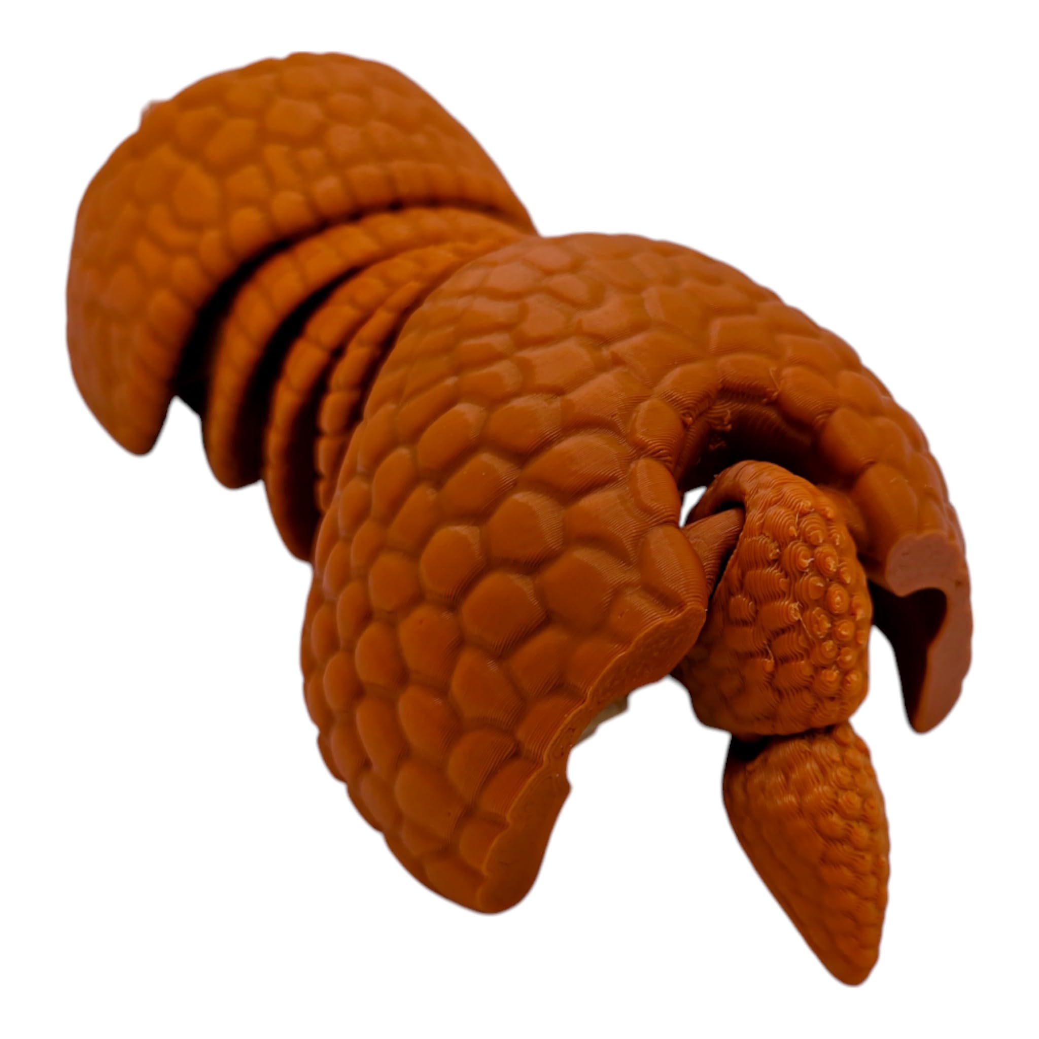 unique armadillo gift idea for collectors