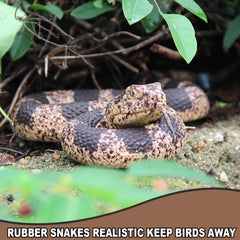 Upitry keep birds away snake prop on branch