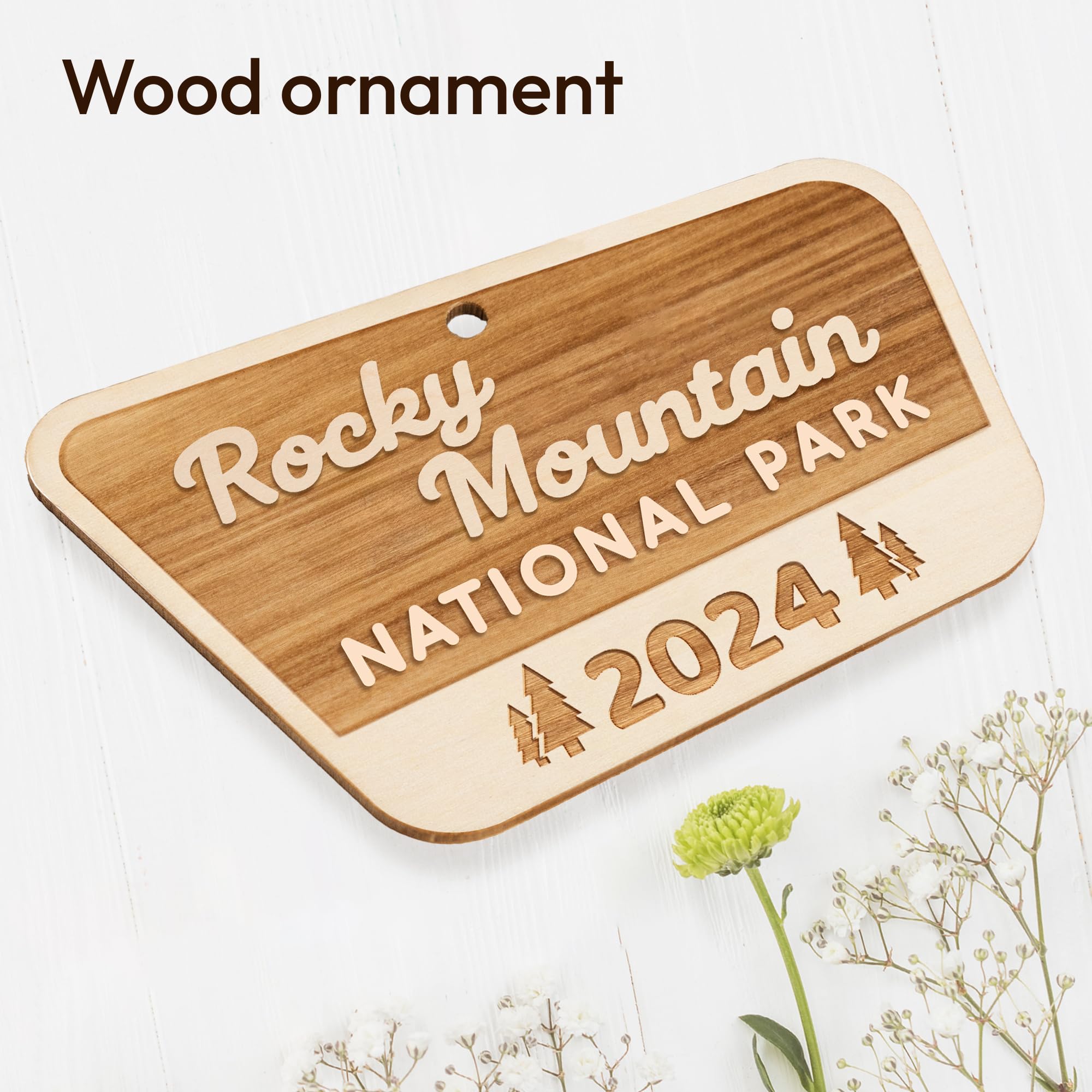 USA National Park Gifts for Travelers ornament