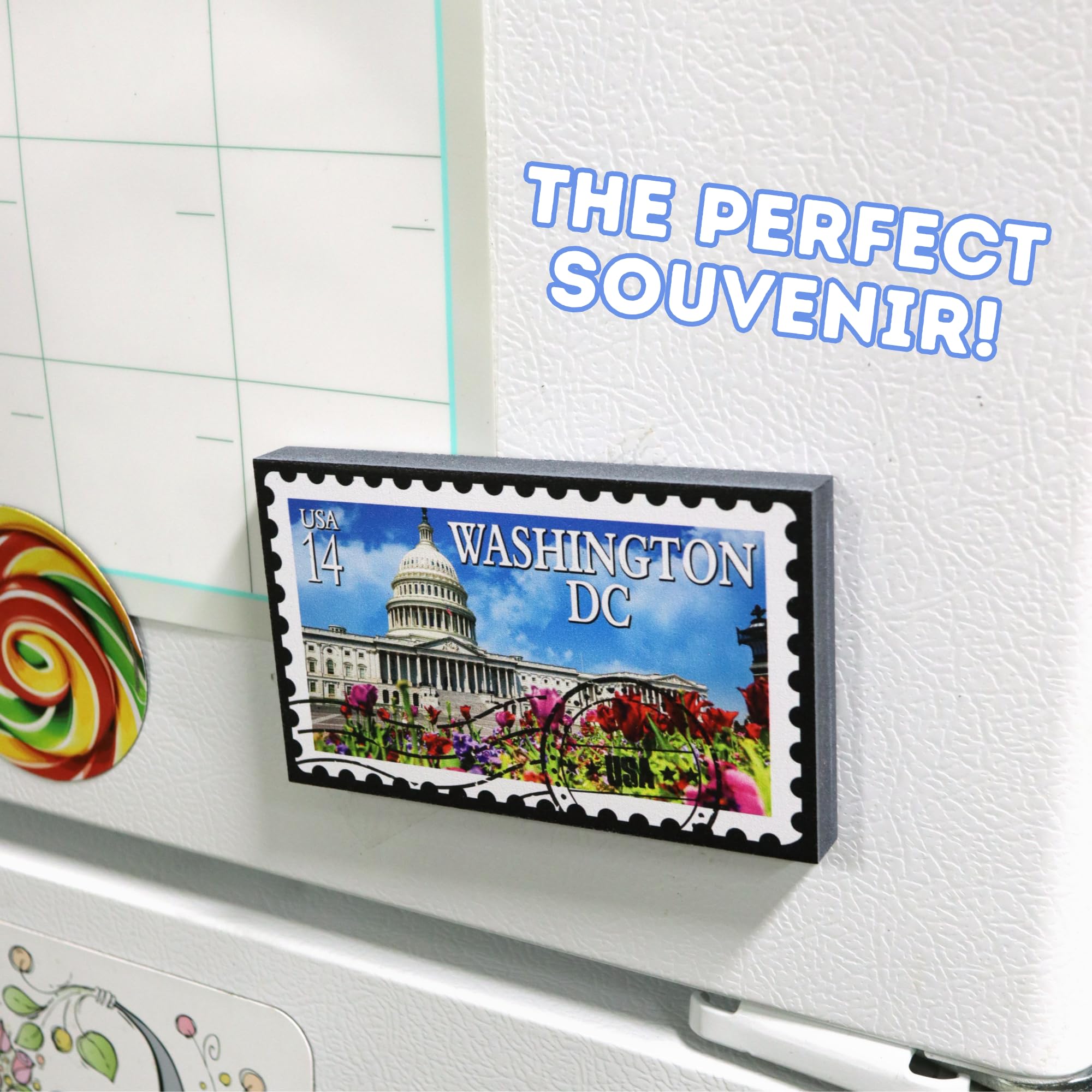 Travel souvenir magnet for Washington DC enthusiasts