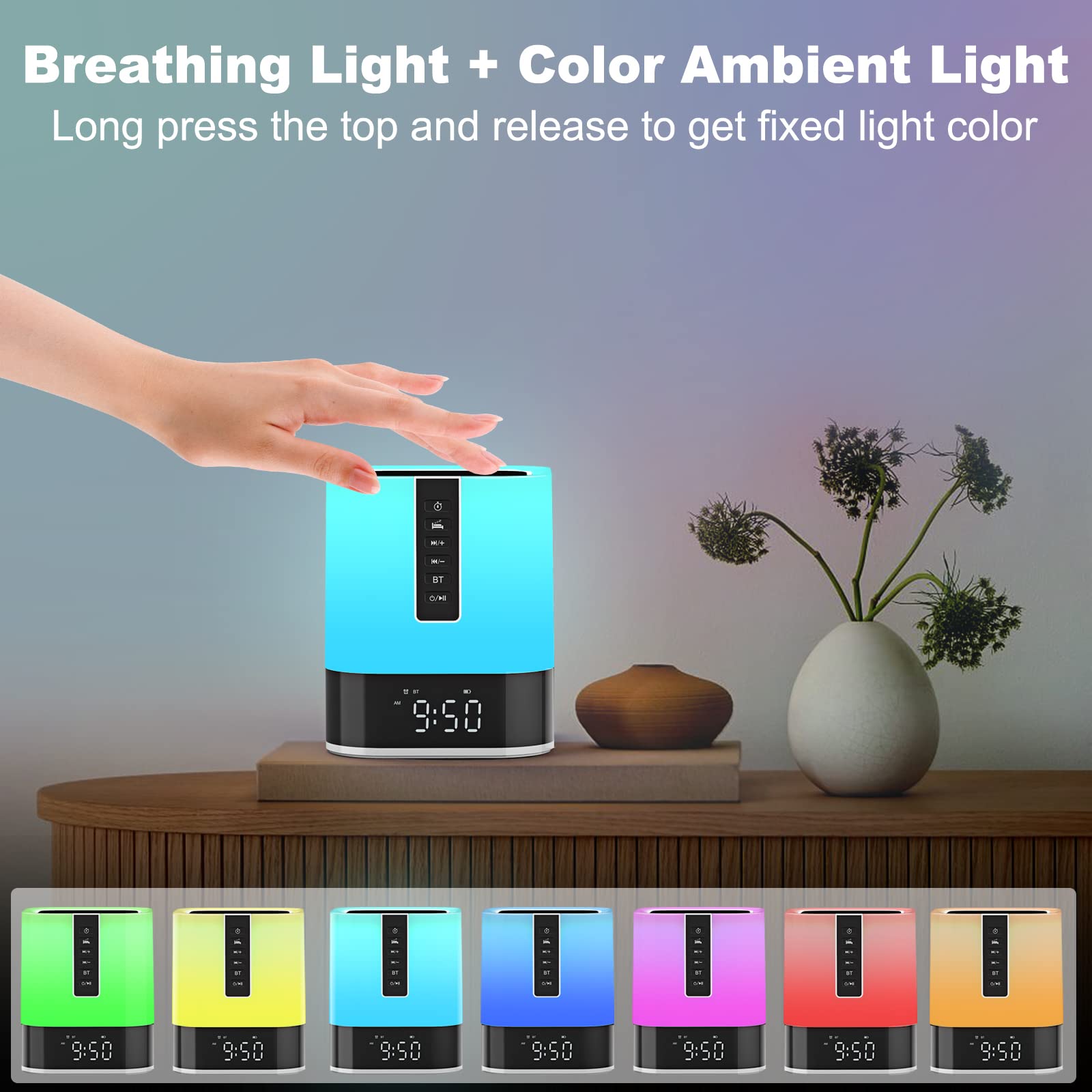 Alarm clock display with USB and Micro SD input