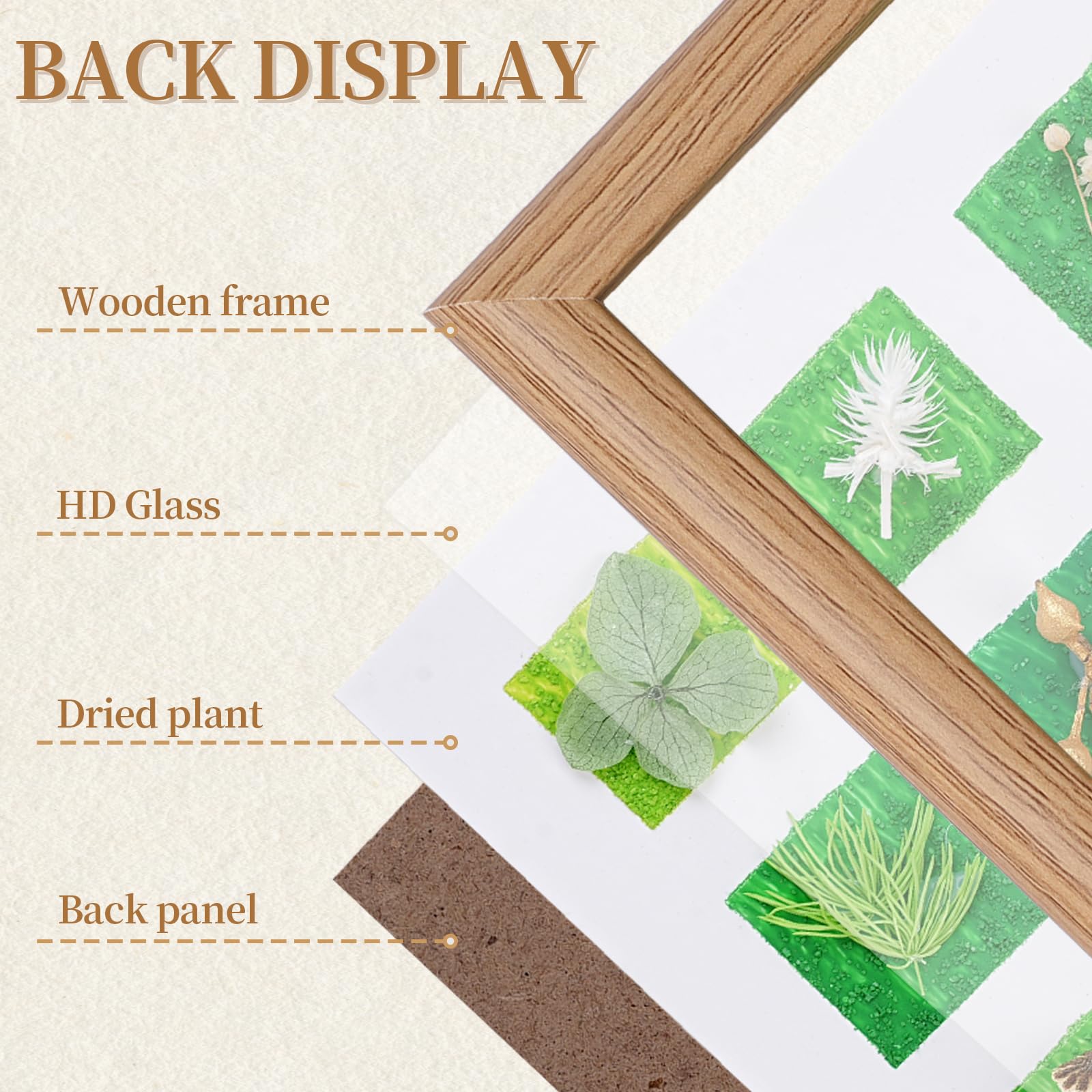 UV-resistant, non-toxic preservation of plants