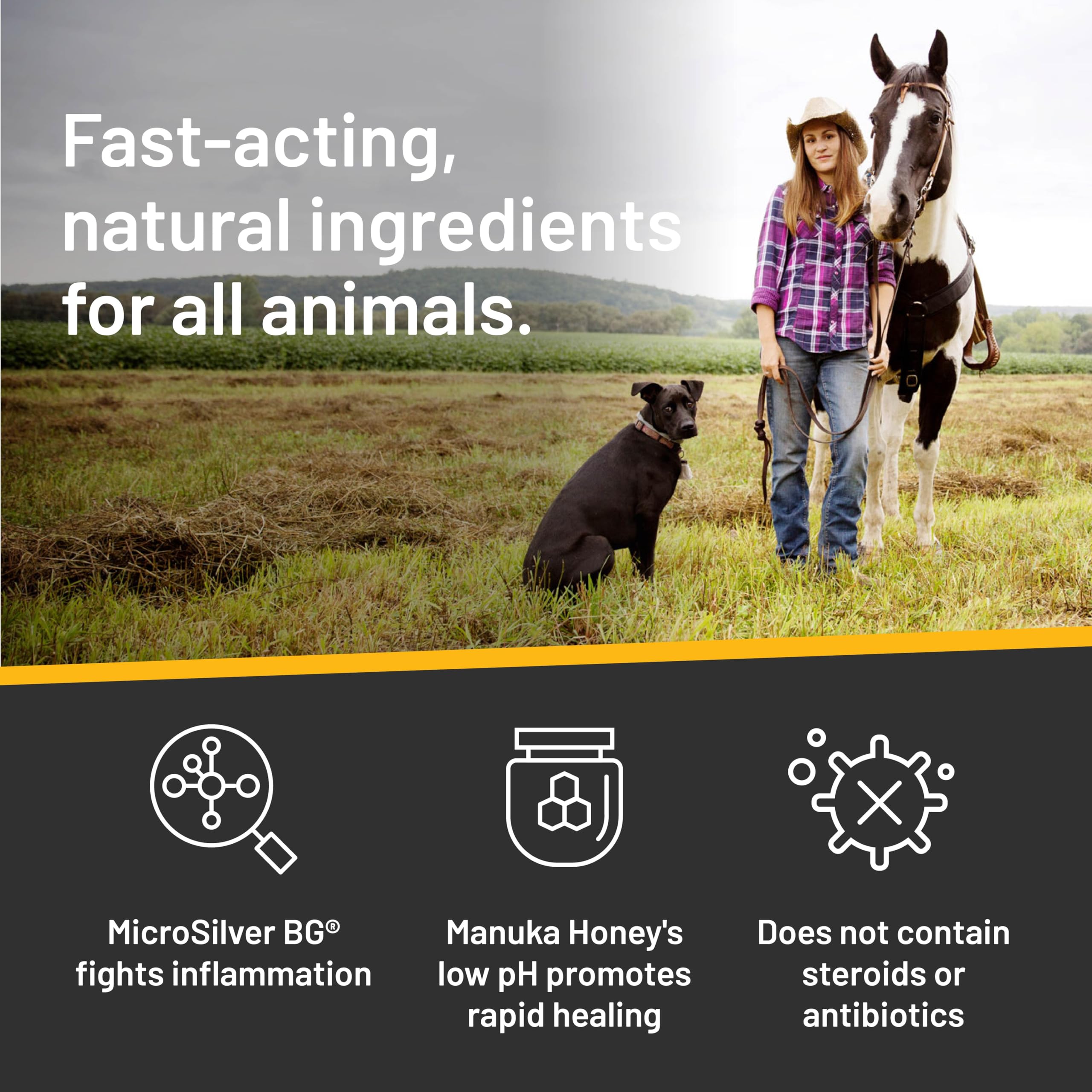 Shampoo designed for all species including horses
