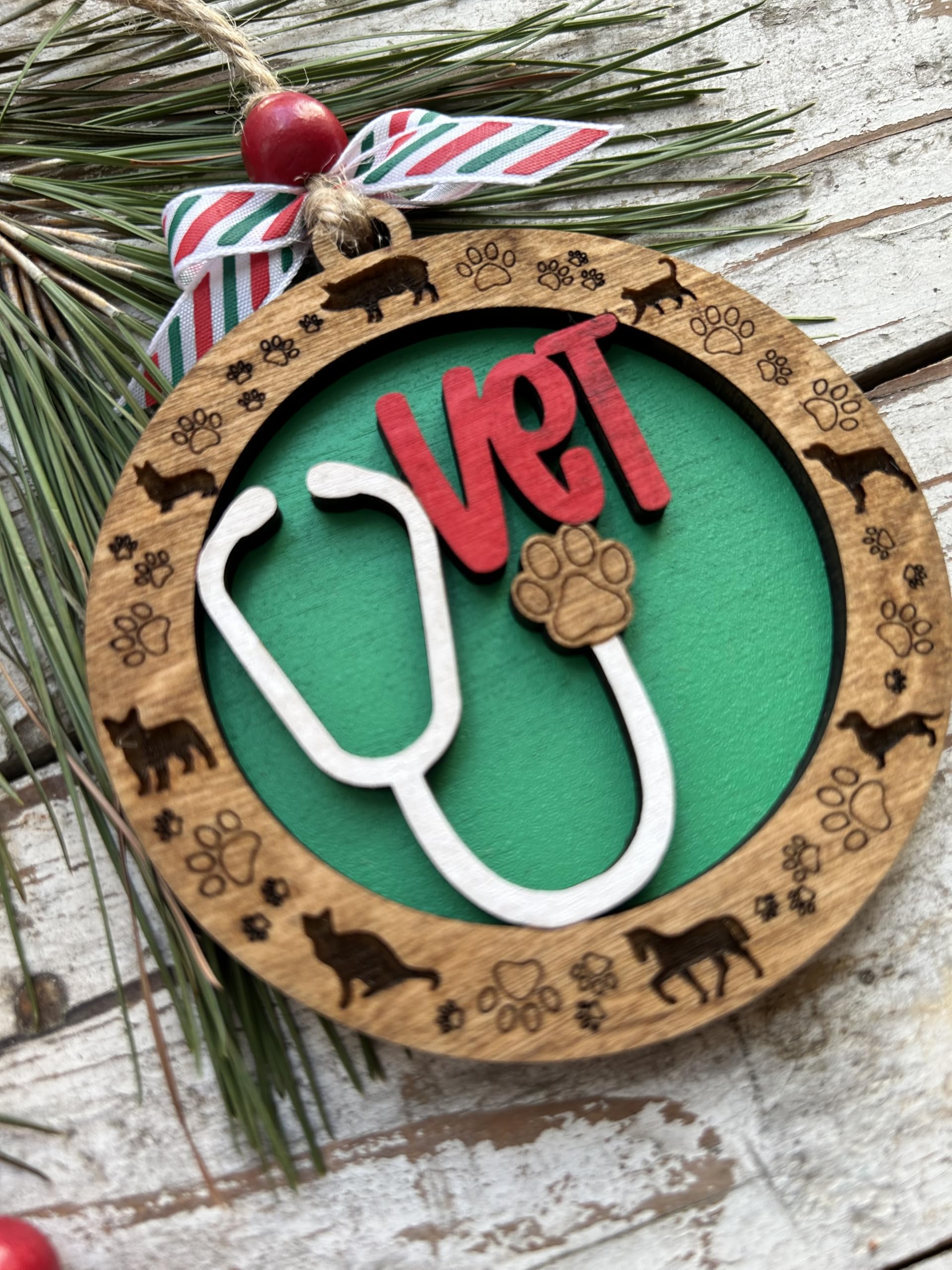 Gift idea for veterinarians who care for dogs cats and horses
