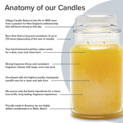 Spiced Pumpkin Apothecary Jar dual wick candle by Village Candle
