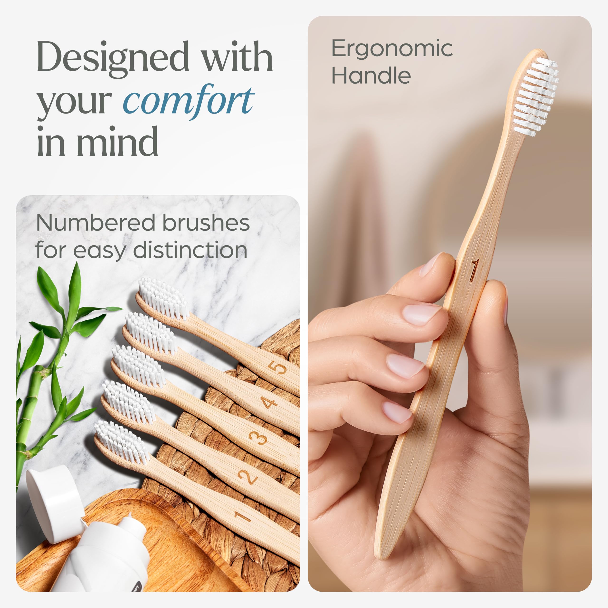 10-pack family-friendly toothbrush set with numbering