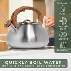 WALDWERK Tea Kettle Stovetop induction compatibility