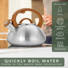 Induction compatible WALDWERK tea kettle on stovetop