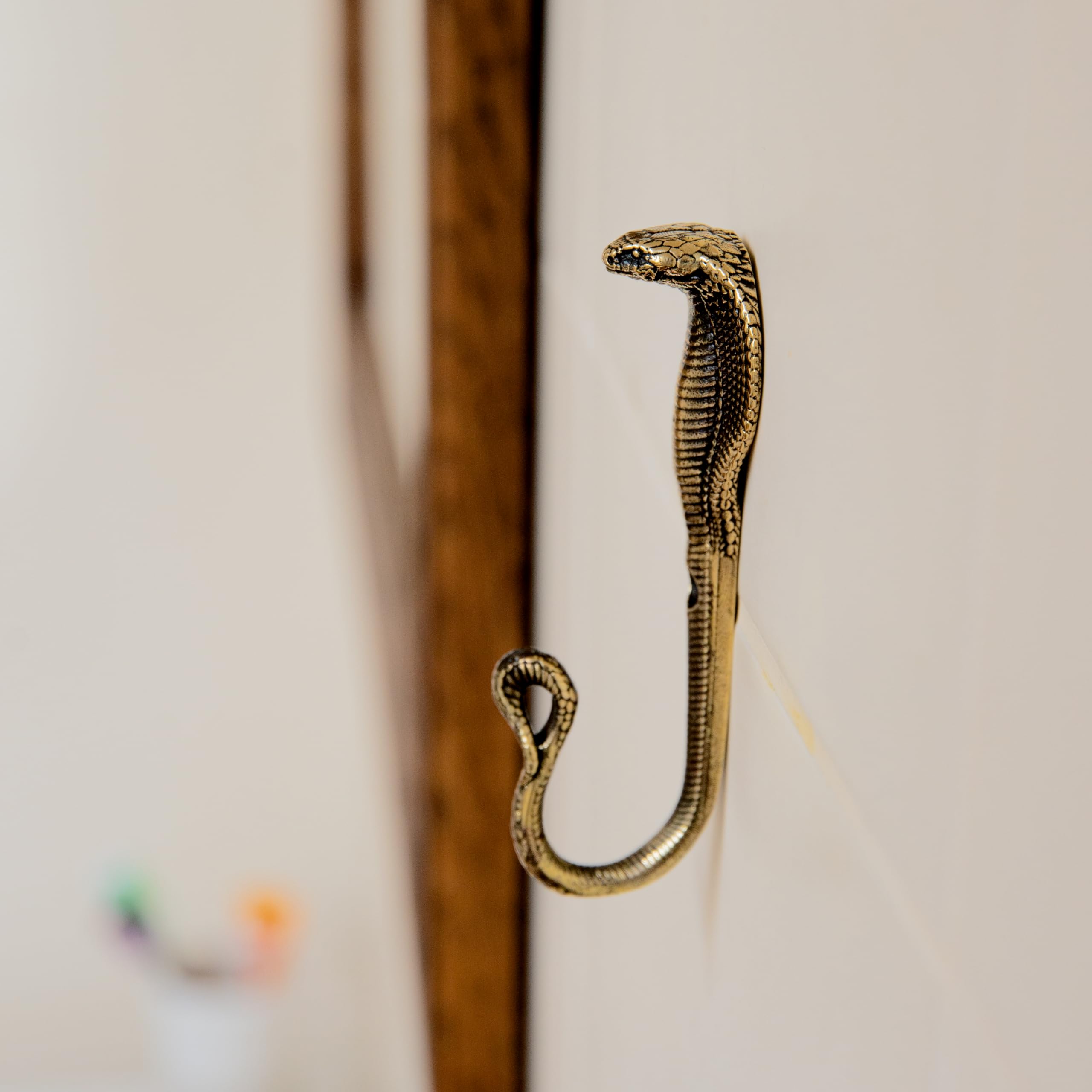 Coats hats scarves on cobra wall hook