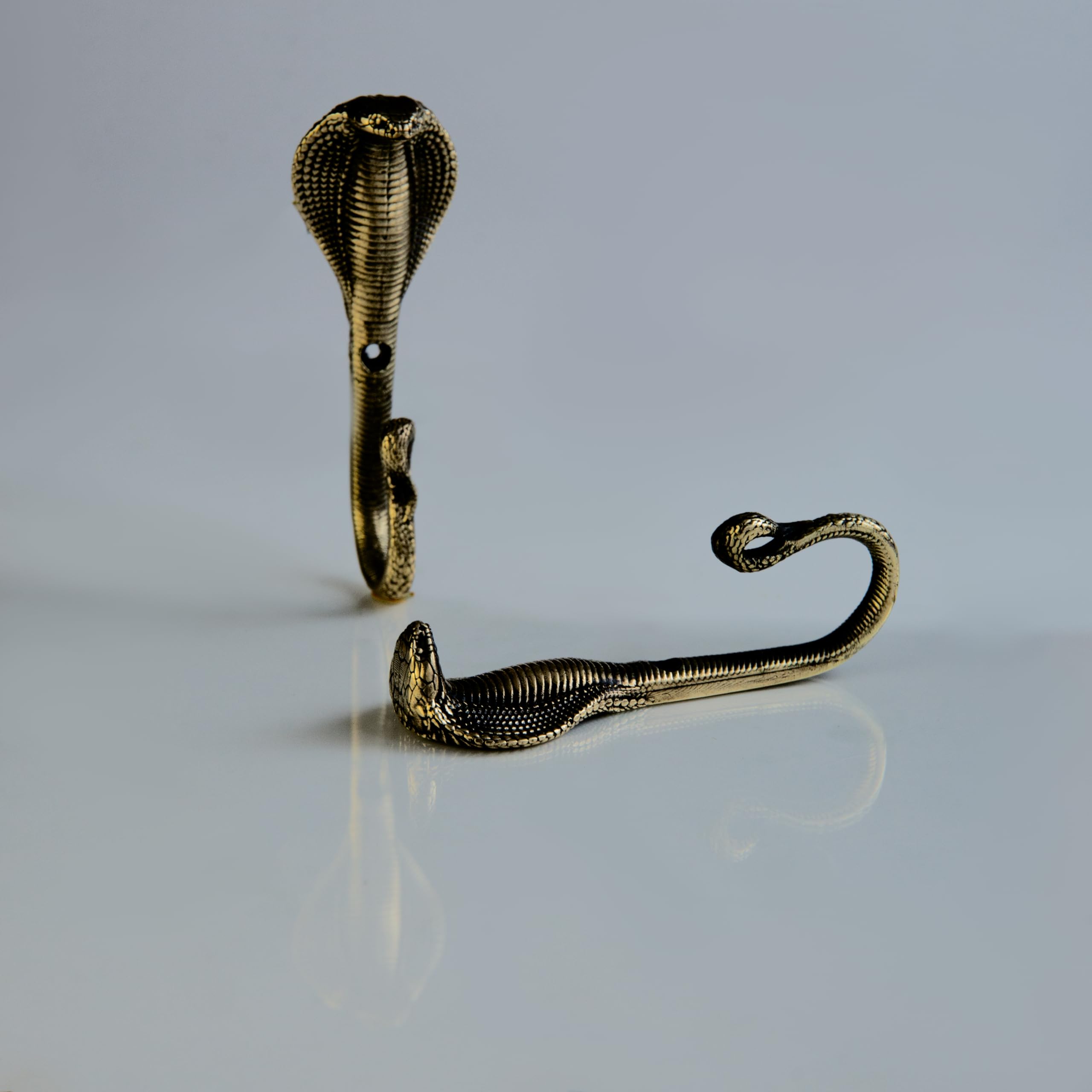 Keys and dog leash hung on snake themed hook