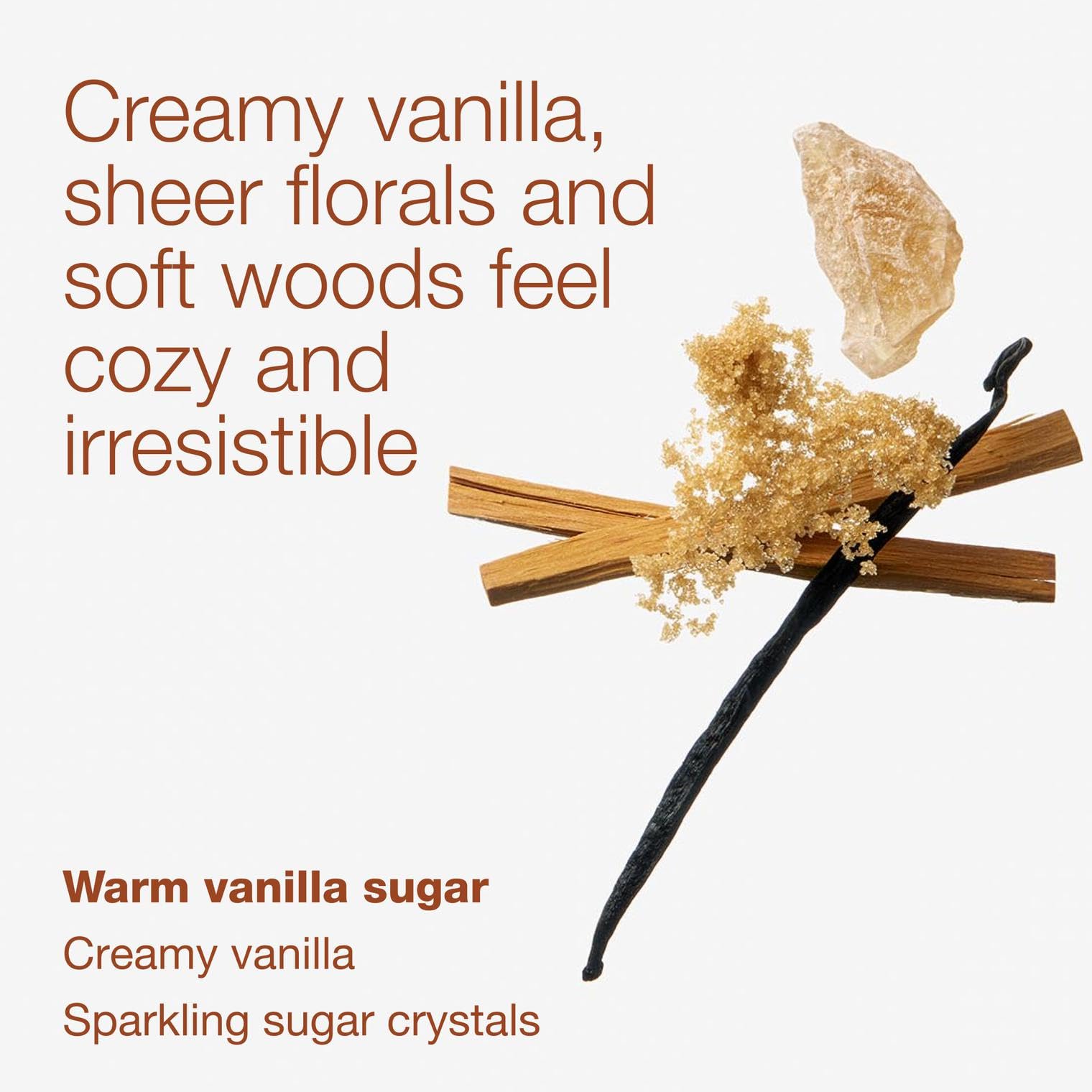 Warm Vanilla Sugar fragrance Bath & Body Works hand soap