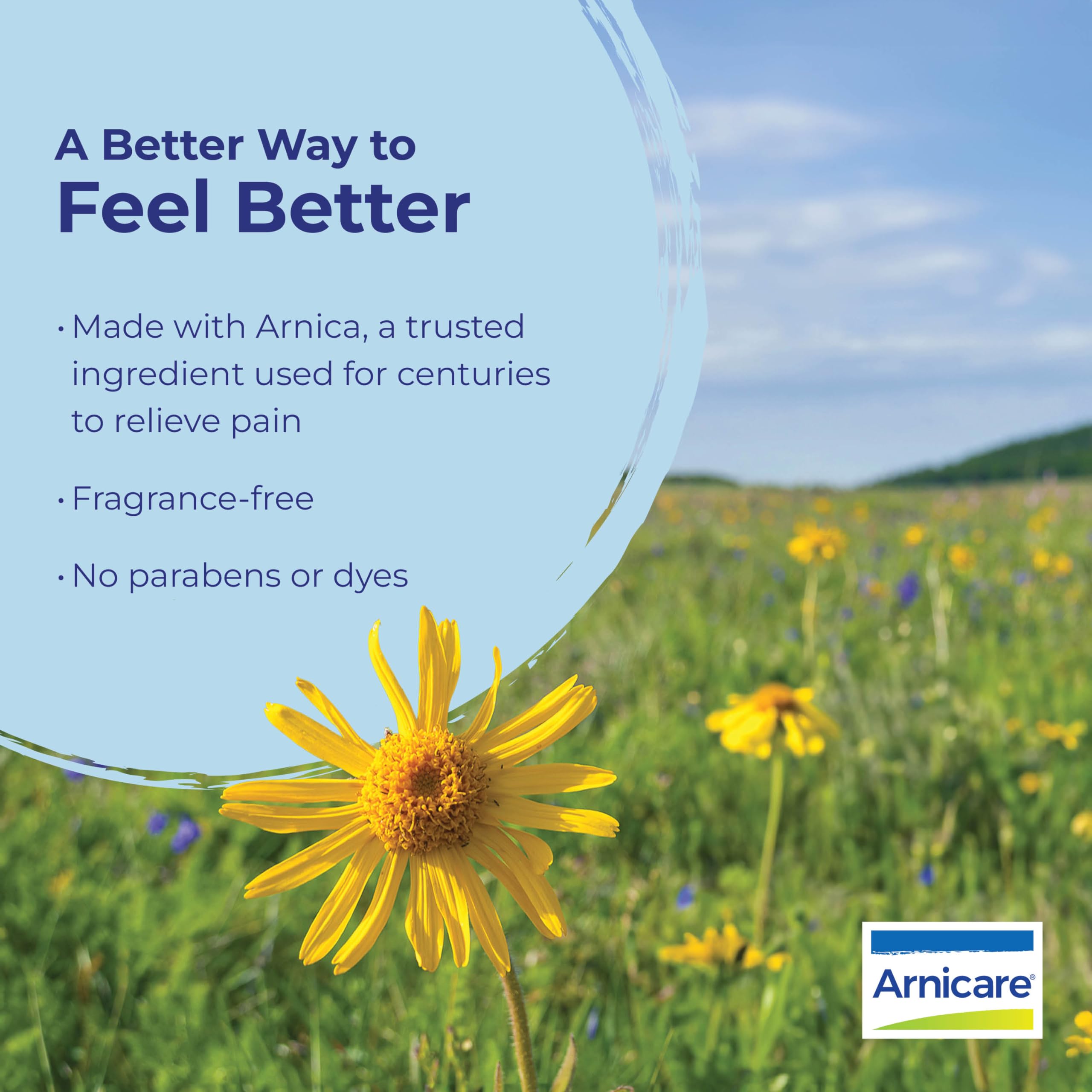 Homeopathic medicine arnica relief for bruises
