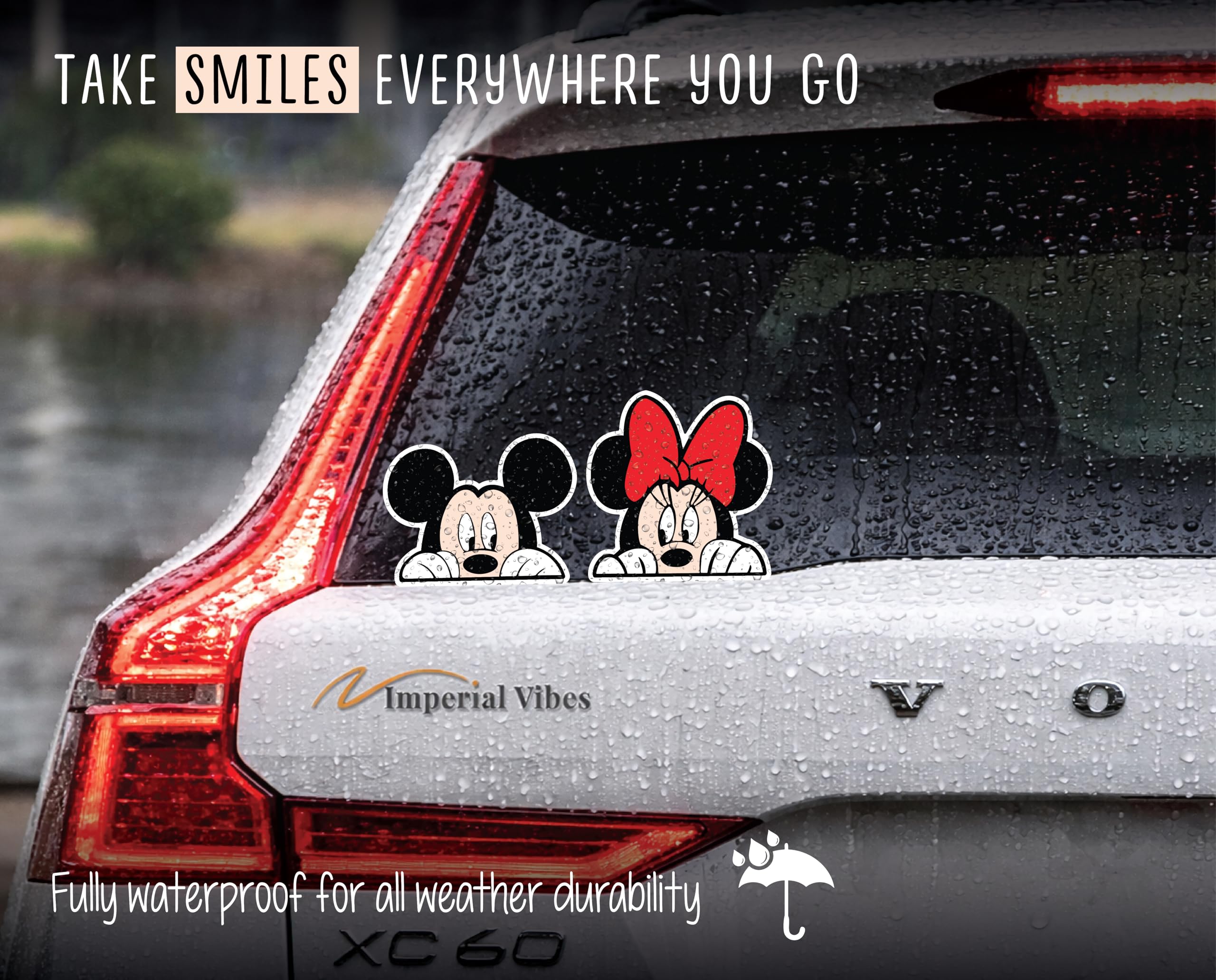 Waterproof decal on water bottle surface featuring Mickey and Minnie