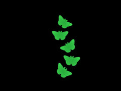 car wall bathroom butterfly decals glow in dark