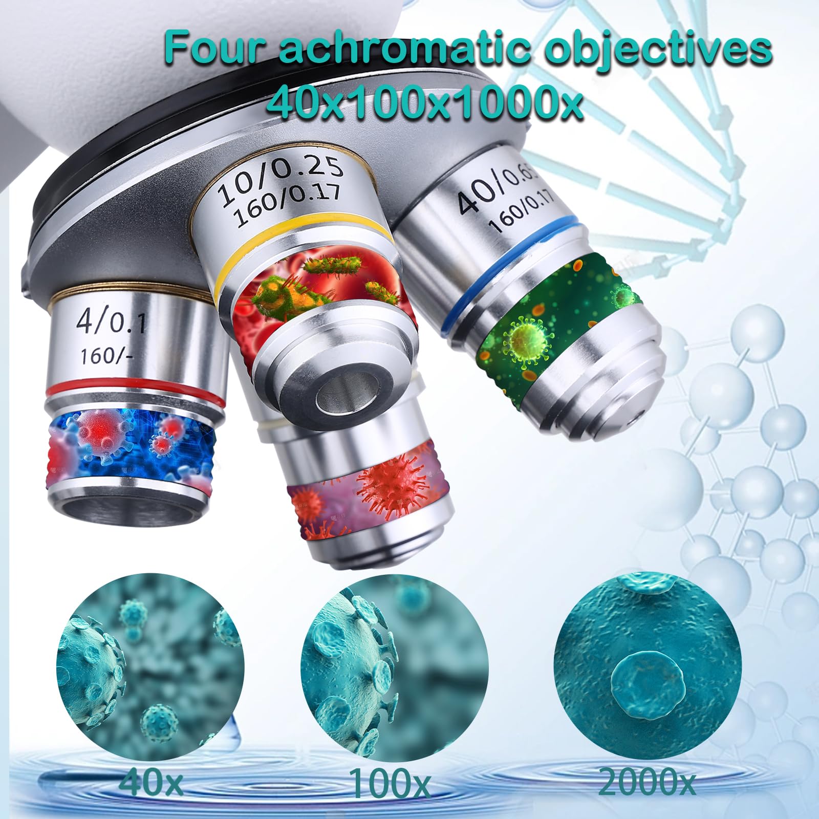 WF25x eyepiece for Compound Microscope