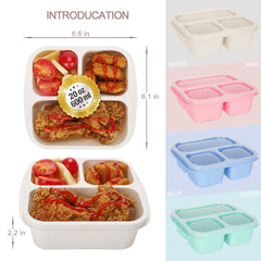 BPA free snack containers with transparent lid