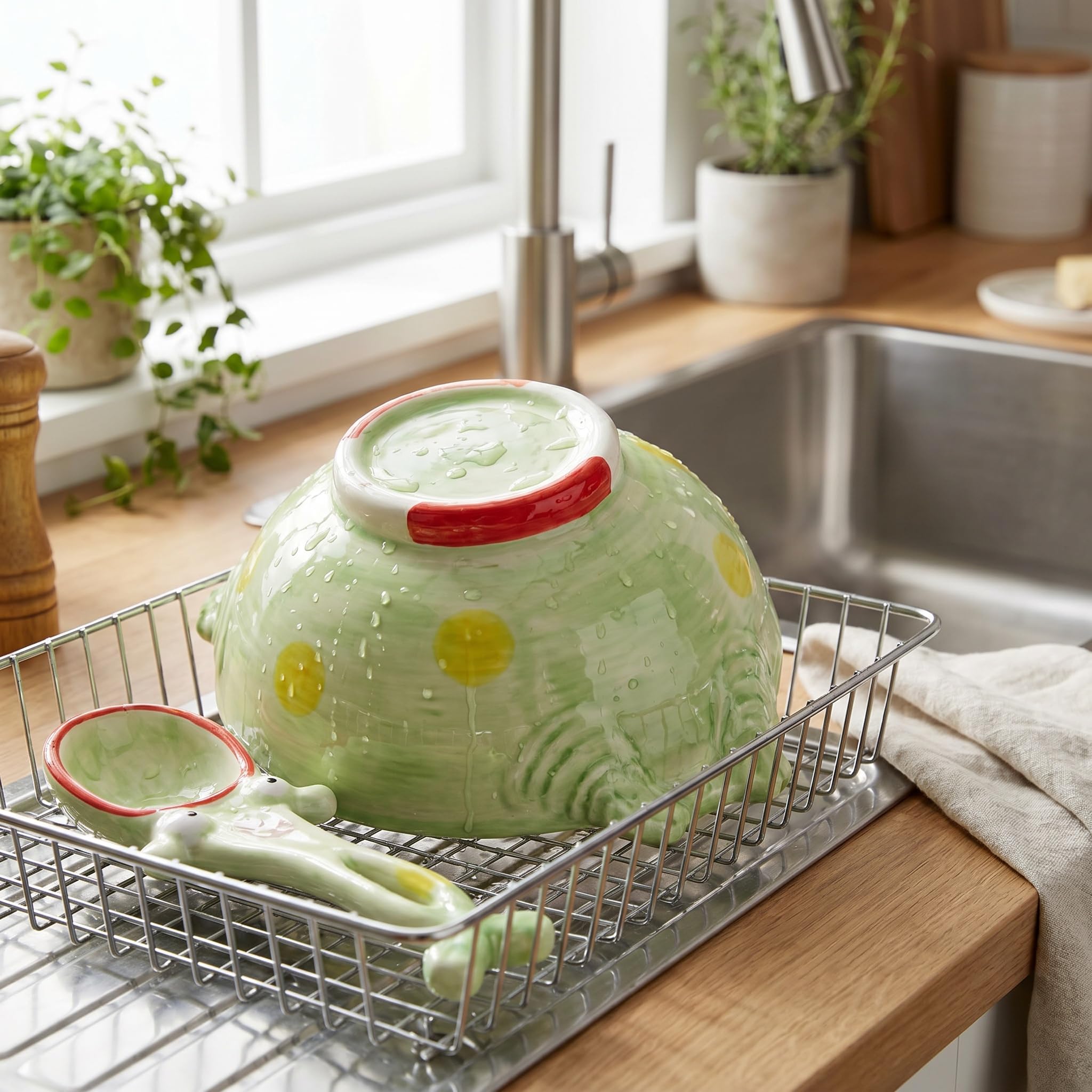 Whimsical ceramic frog bowl decor on shelf