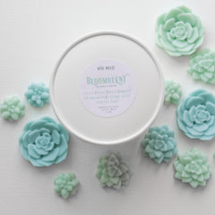 Scent notes citrus basil chamomile orange peel mint agave tomato leaf
