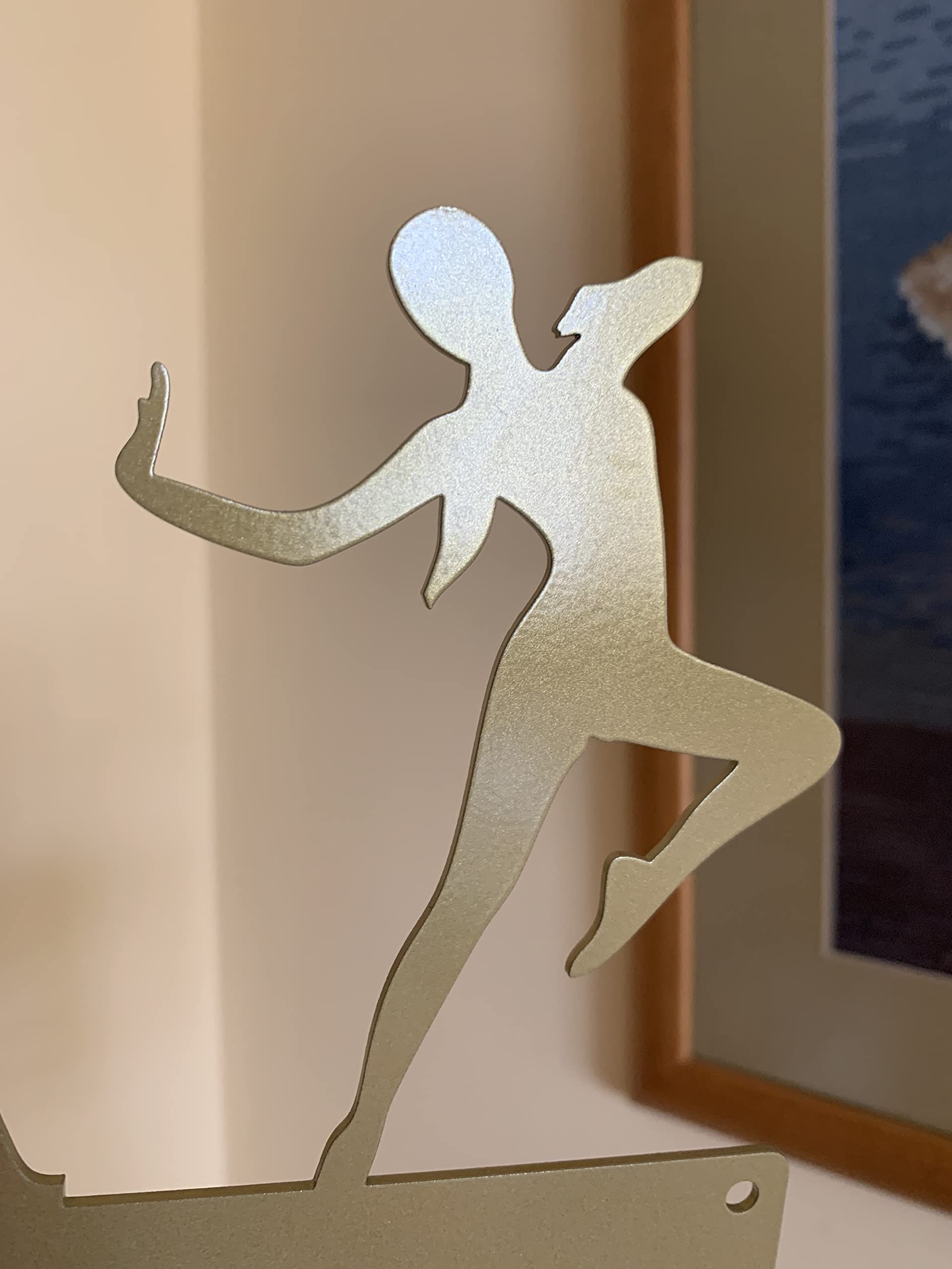 Medal rows options 2 3 or 4 on wall mount display