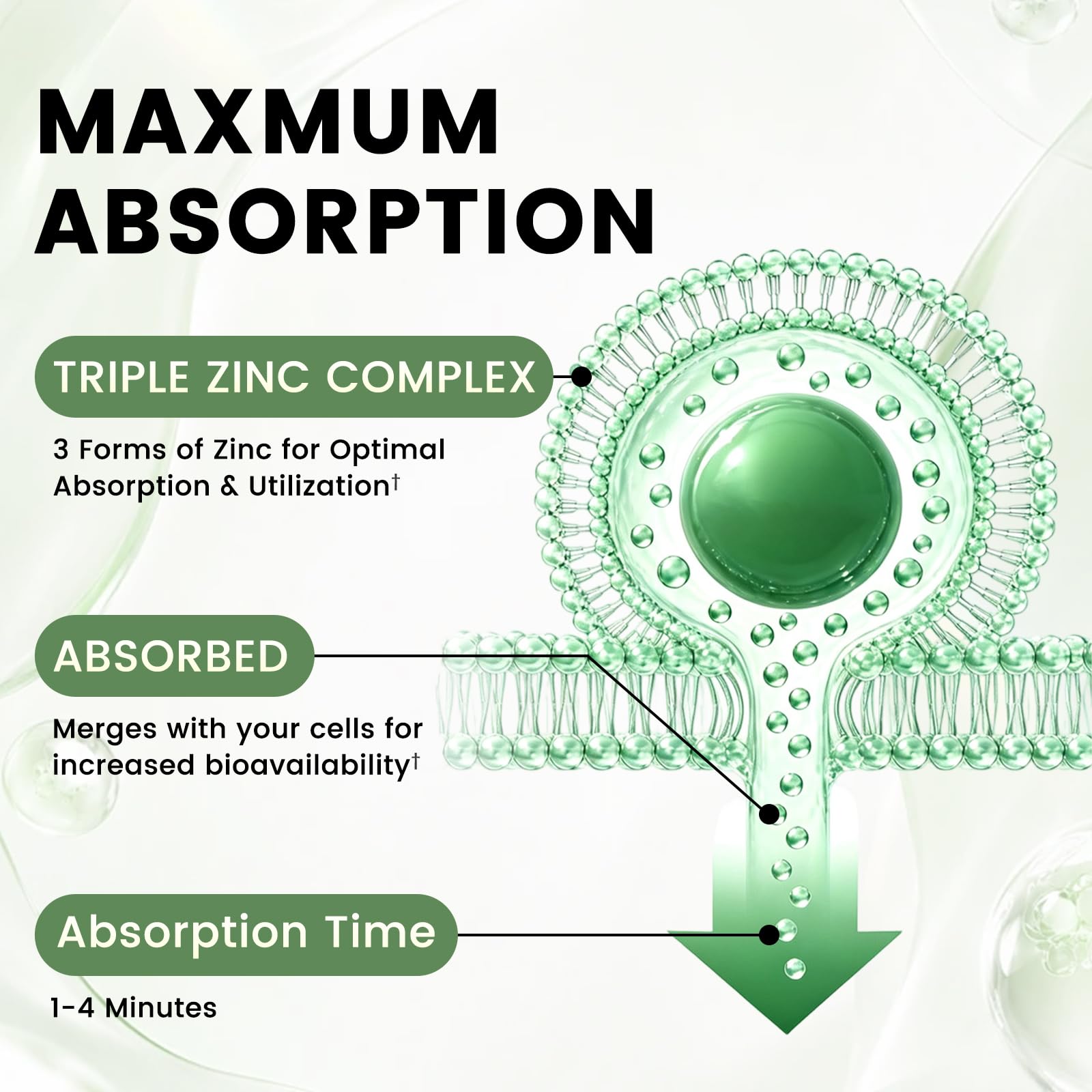 Liquid drops designed for convenient dosing and absorption