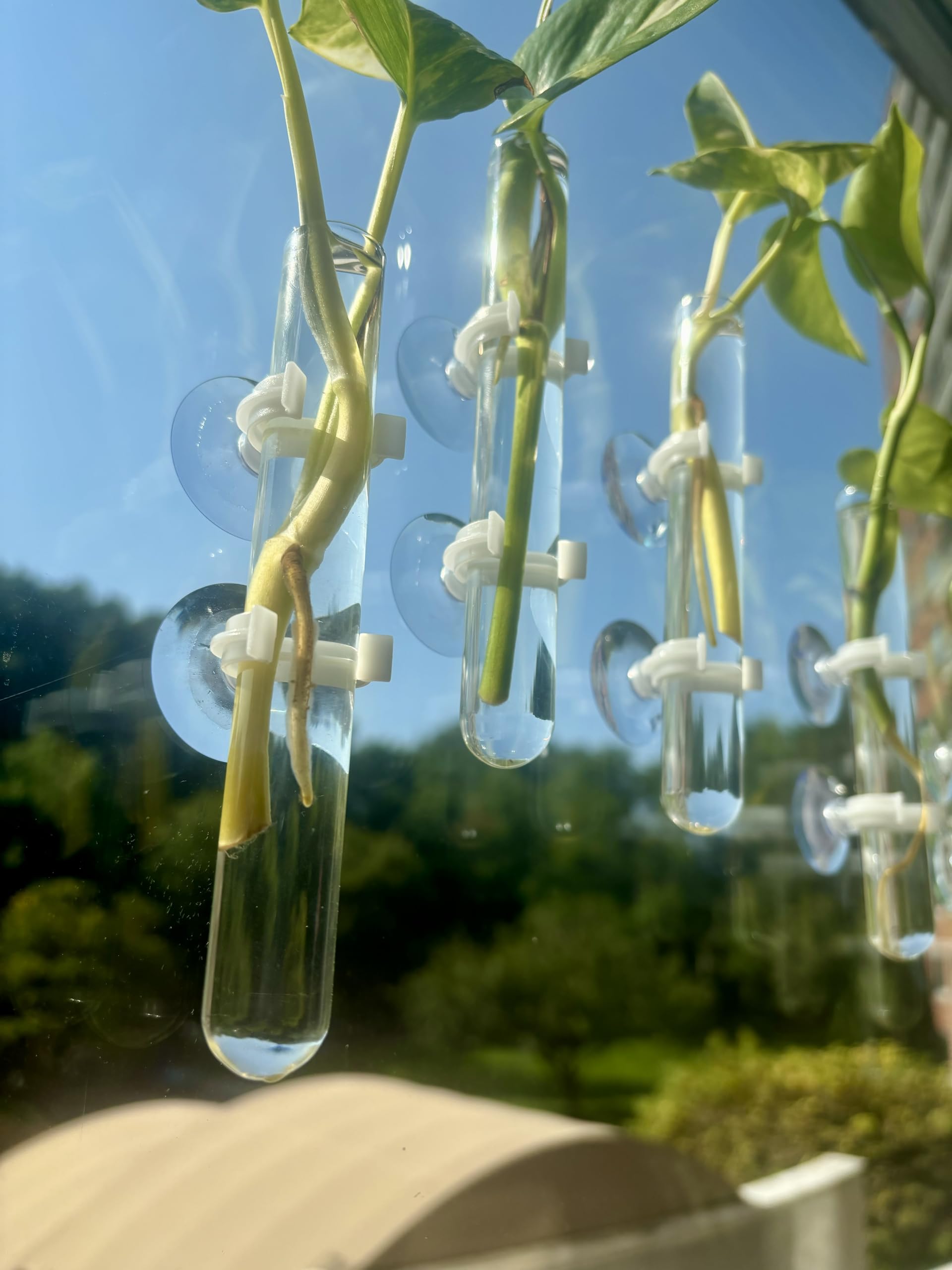 window mirror and car windshield decor with glass tubes