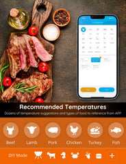 Wireless thermometer for smoker grilling and oven