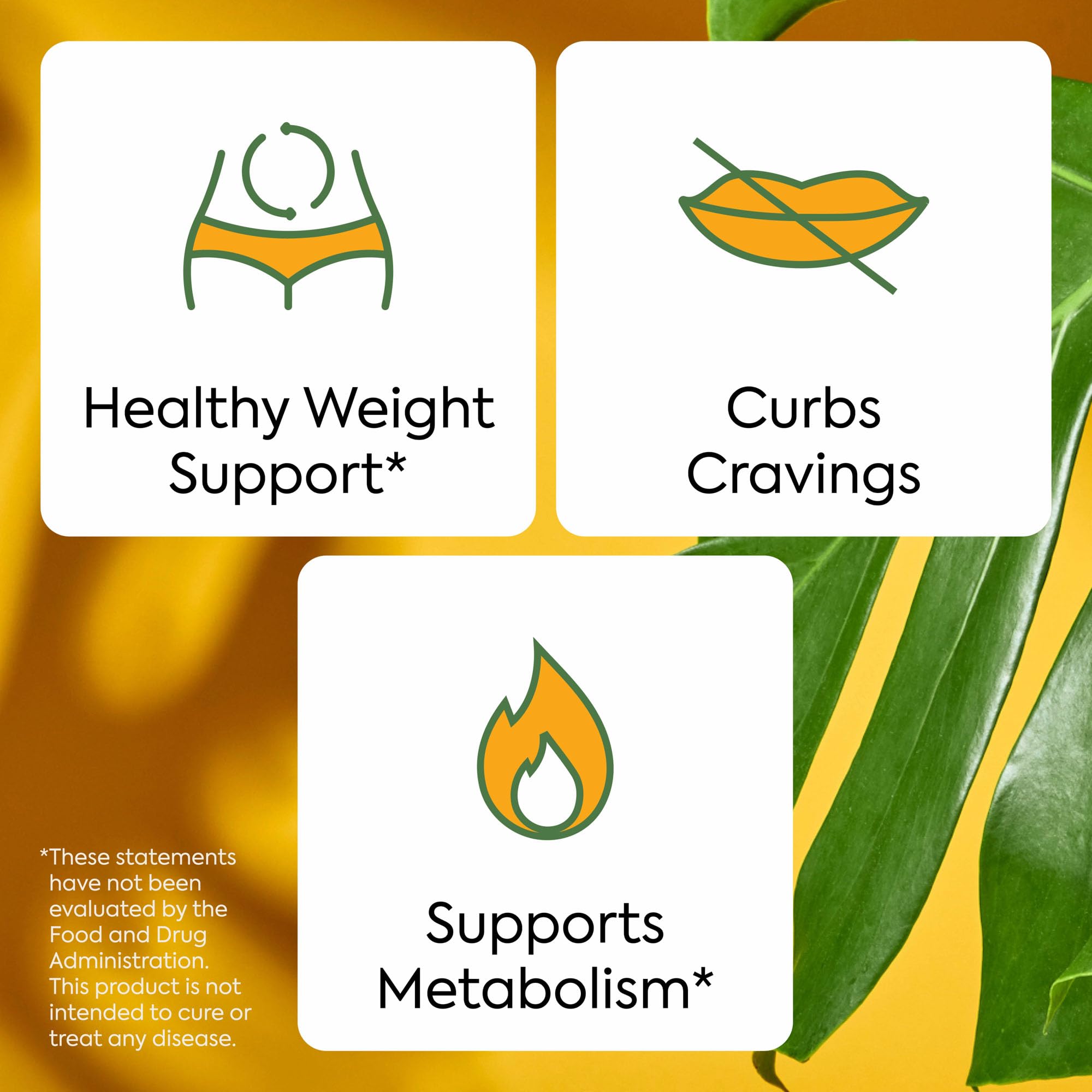 60 Count pack of Plant People WonderBurn Metabolism Gummies