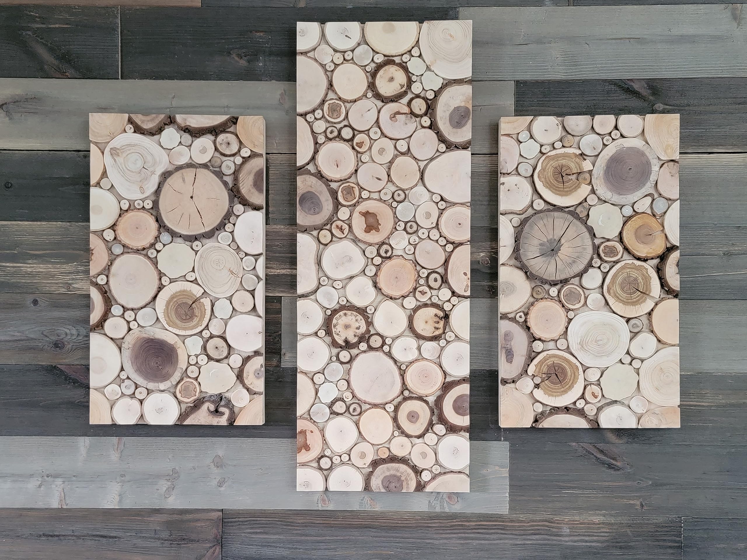 Wood slice assortment pack for crafts