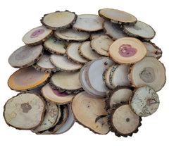 Wood Slice Variety Pack 20 slices 3-4 inches diameter