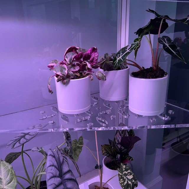 Durable shatter-resistant acrylic corner shelf