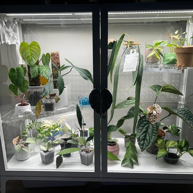 Wrap shape acrylic shelf for Fabrikor greenhouse cabinets