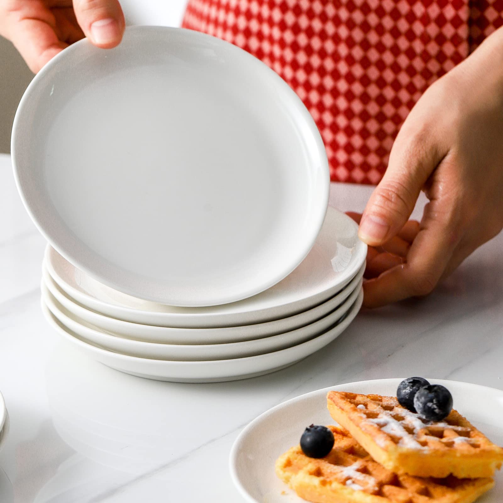 Dishwasher microwave oven and freezer safe plate