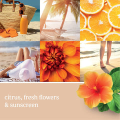 Yankee Candle Sun and Sand ScentPlug Refill 4-Pack image 3