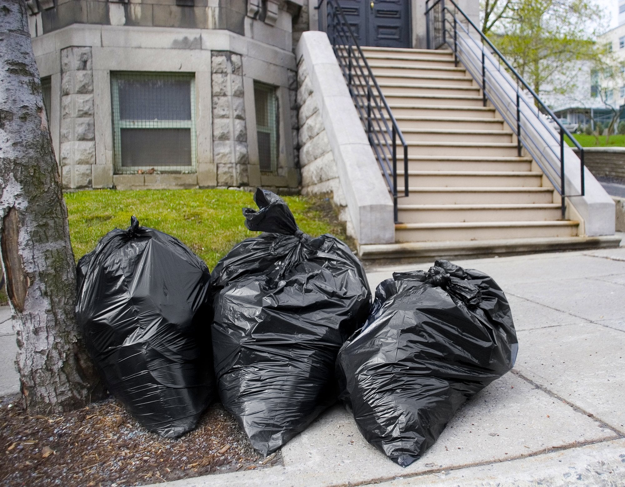 Yard waste leaves and branches in 65 gallon bags