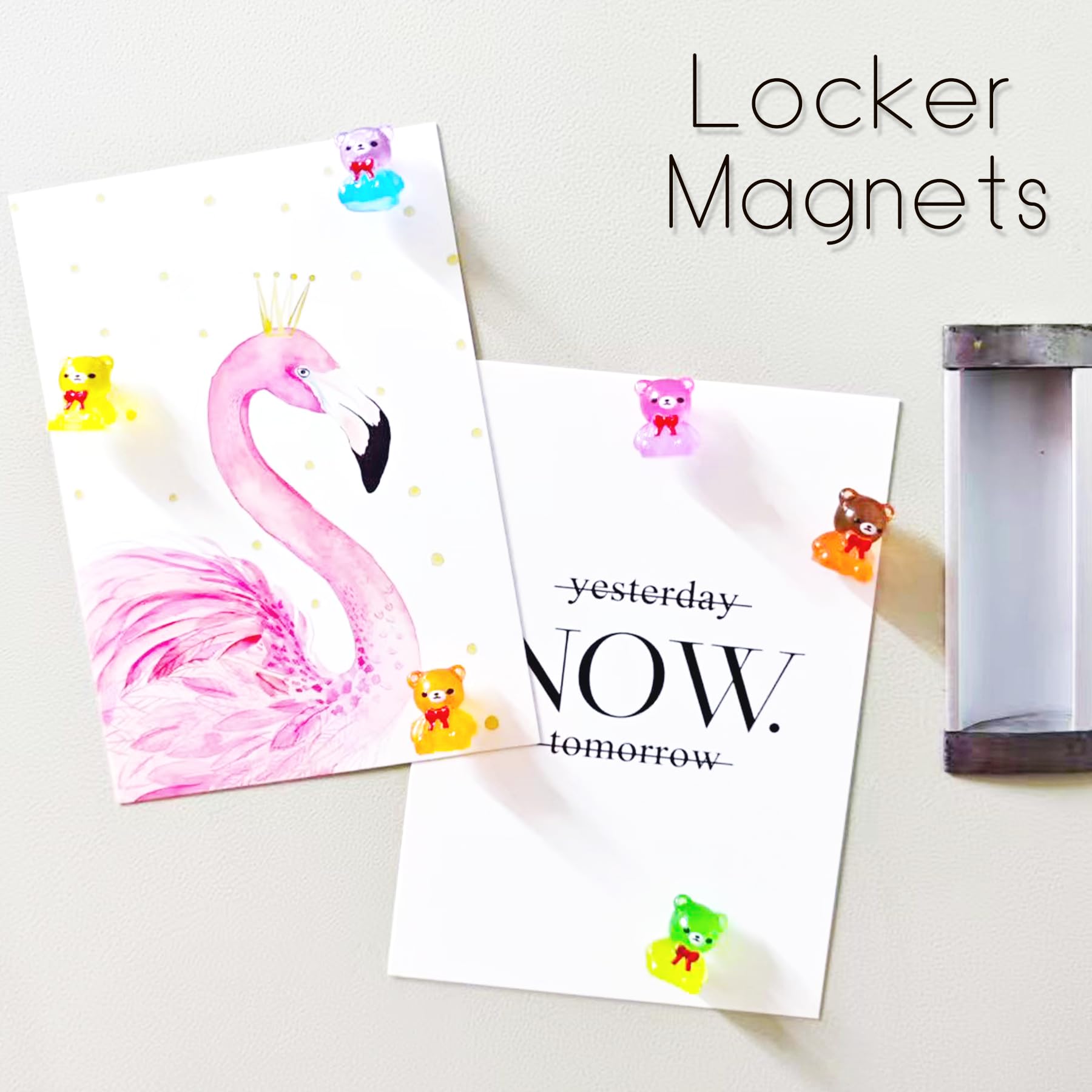 Eight color bear magnets set attached to fridge surface